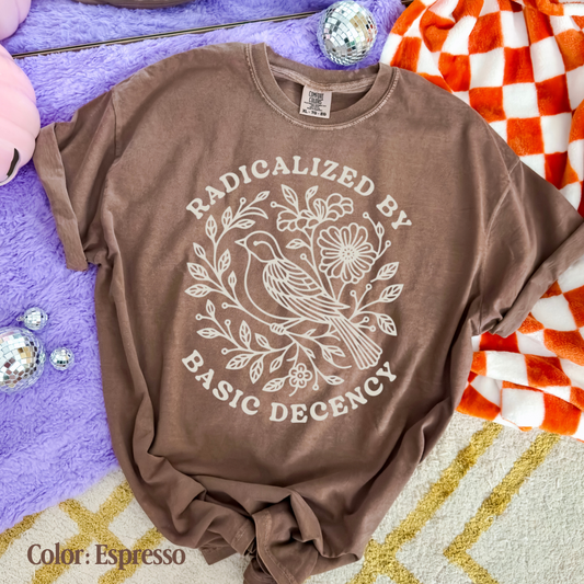 Radicalized by Basic Decency Comfort Colors Tee—Choose Your Color