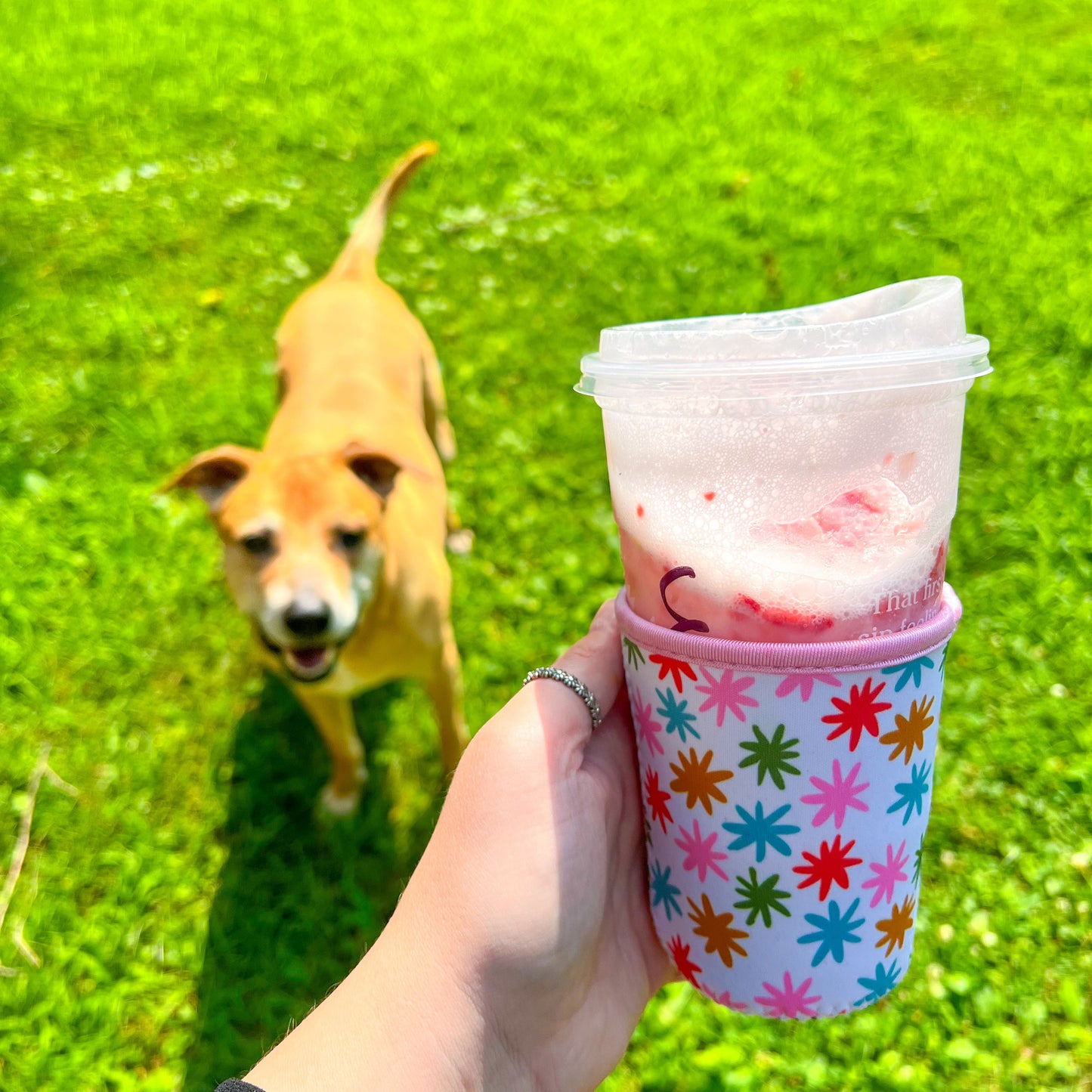 Cutie Stars Iced Cup Cover Koozie
